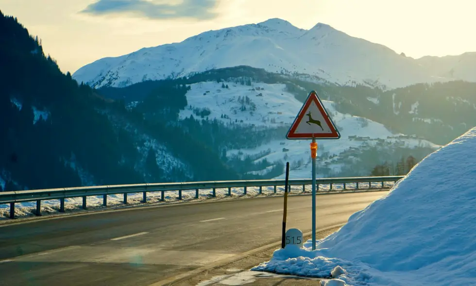 Red de autopistas de Suiza y el procedimiento para comprar la viñeta en 2026