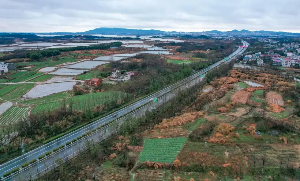 Tolvignet kopen in Tsjechië