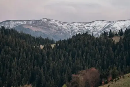 Покупка румынской виньетки и советы по путешествию