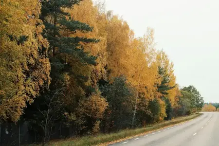 Реконструкция автомагистрали D6 в районе Кладно завершилась с задержкой.